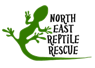 North East Reptile Rescue Logo, a green gecko